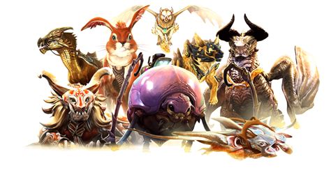 gw2 the first city|guild wars 2 how to get mounts.